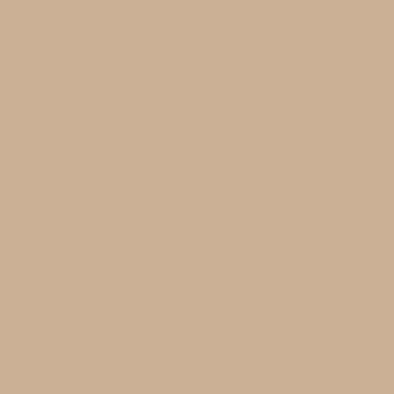 Casa Colour - Patchouli - 203 - Chalk Paint